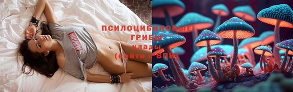 бутират Баксан