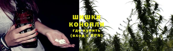 шишки Балахна