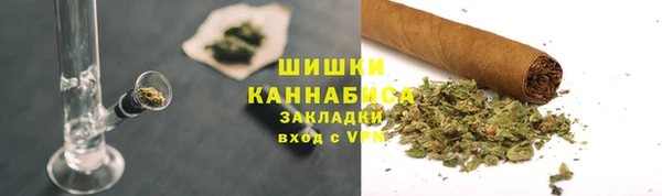 шишки Балахна