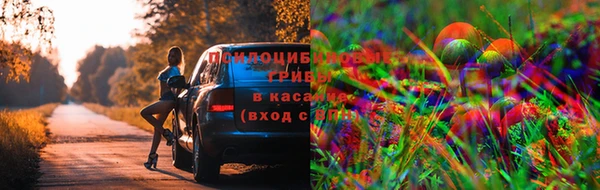 шишки Балахна