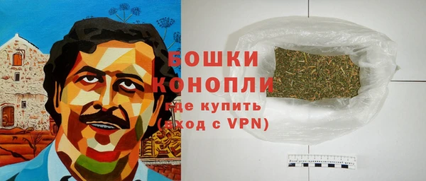 шишки Балахна